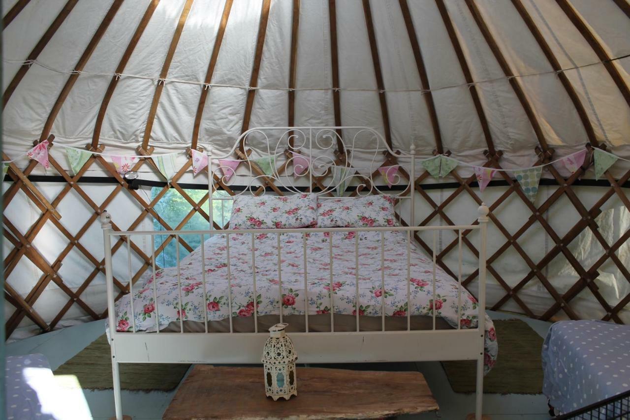 Mill Haven Place Glamping-Yurt 1 Talbenny Exterior foto