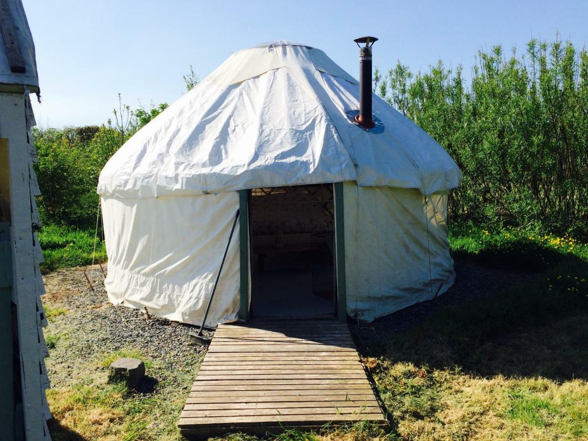 Mill Haven Place Glamping-Yurt 1 Talbenny Exterior foto