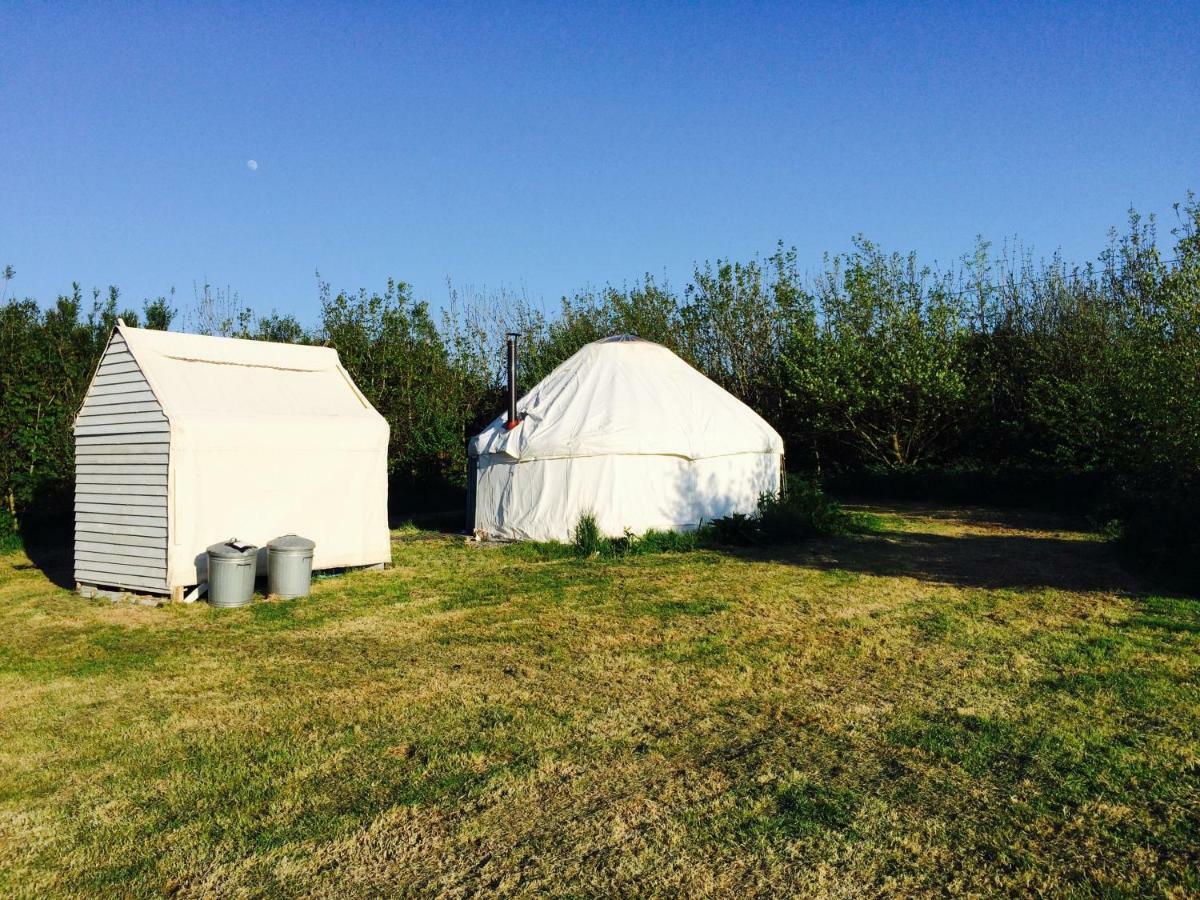 Mill Haven Place Glamping-Yurt 1 Talbenny Exterior foto